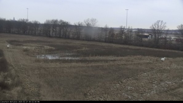 Cell 2_24-02-27_16-52-58-42