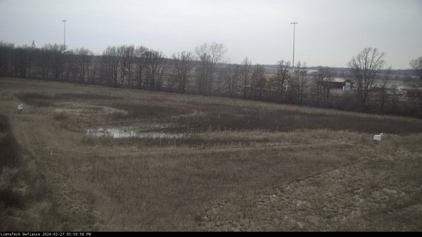 Cell 2_24-02-27_17-59-58-49