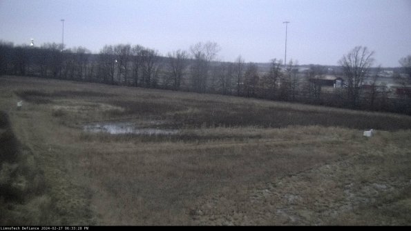 Cell 2_24-02-27_18-33-28-45