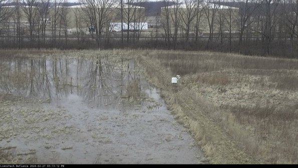 Cell 3 to 4_24-02-27_15-13-12-41