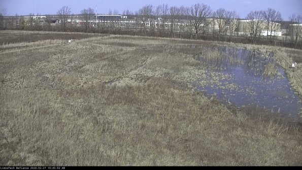 Cell 3_24-02-27_10-45-02-40