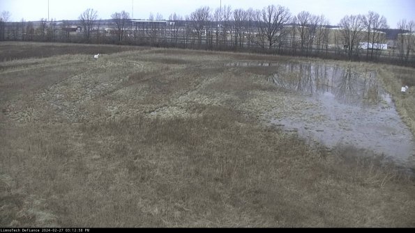 Cell 3_24-02-27_15-12-58-46