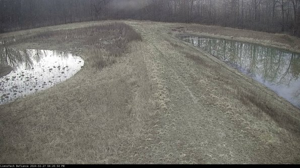 Cell 4 to Basin_24-02-27_16-20-54-42