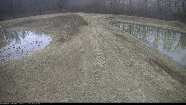 Cell 4 to Basin_24-02-27_16-54-24-41