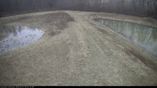 Cell 4 to Basin_24-02-27_18-01-24-41