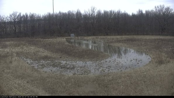 Cell 4_24-02-27_14-39-56-43