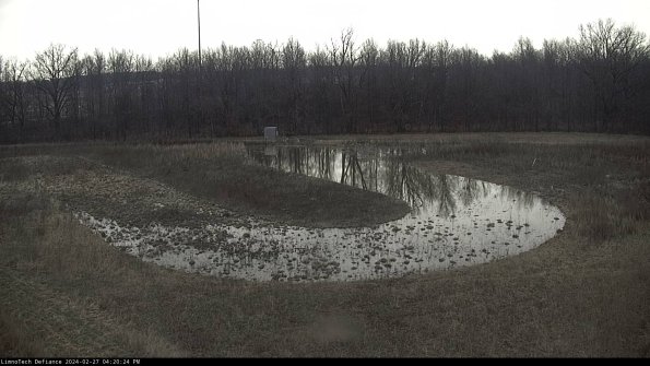 Cell 4_24-02-27_16-20-24-39