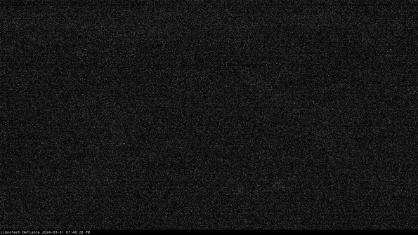 Cell 1_24-03-01_19-48-29-32