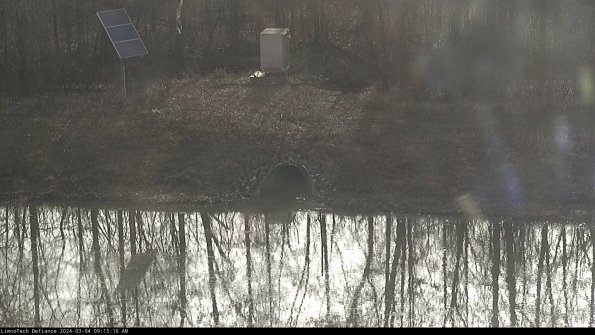 Basin Inflow_24-03-04_09-15-10-54