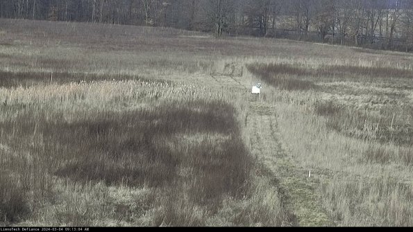 Cell 1 to 2_24-03-04_09-13-05-34