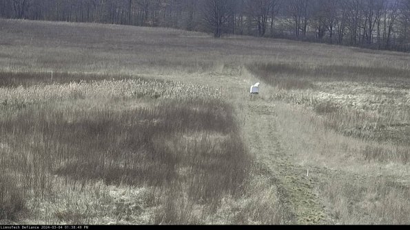 Cell 1 to 2_24-03-04_13-38-50-16