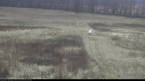 Cell 1 to 2_24-03-04_14-45-49-15