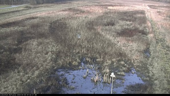 Cell 1_24-03-04_07-32-22-31