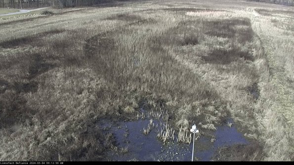 Cell 1_24-03-04_09-12-51-36