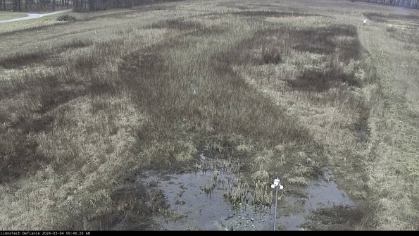 Cell 1_24-03-04_09-46-21-35