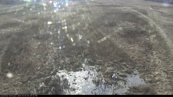 Cell 1_24-03-04_16-59-33-13