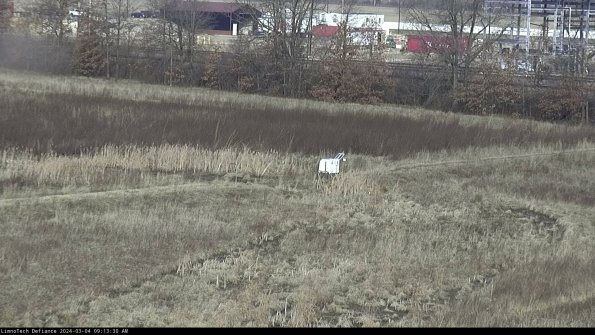 Cell 2 to 3_24-03-04_09-13-31-44