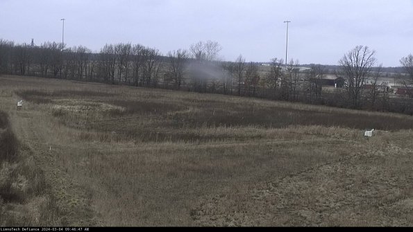 Cell 2_24-03-04_09-46-48-41