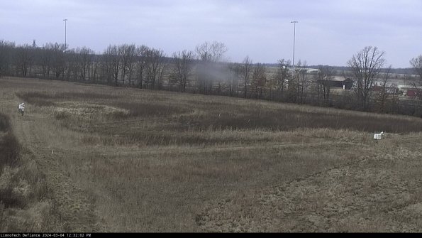 Cell 2_24-03-04_12-32-03-16