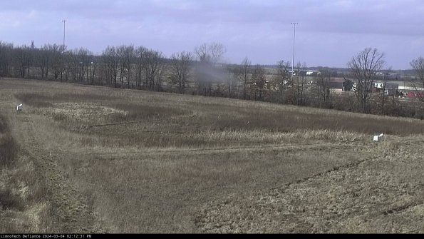 Cell 2_24-03-04_14-12-32-17