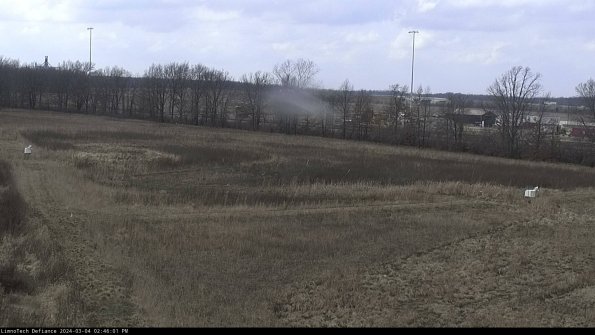 Cell 2_24-03-04_14-46-02-16