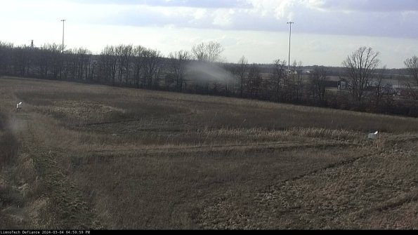 Cell 2_24-03-04_17-00-00-20