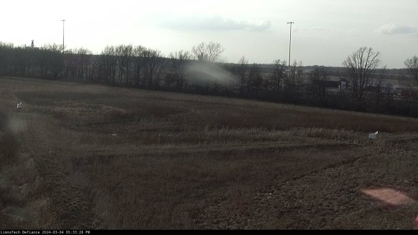 Cell 2_24-03-04_17-33-29-16