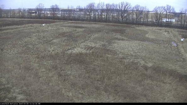 Cell 3_24-03-04_12-32-31-16