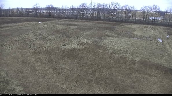 Cell 3_24-03-04_13-06-01-11