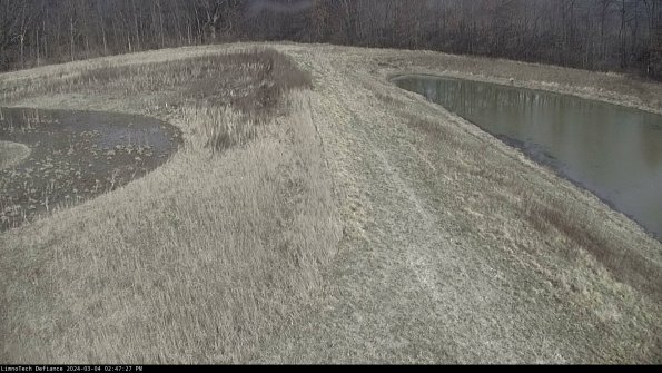 Cell 4 to Basin_24-03-04_14-47-28-15