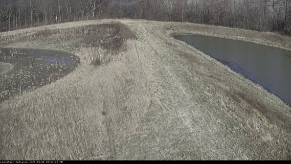 Cell 4 to Basin_24-03-04_15-54-26-13