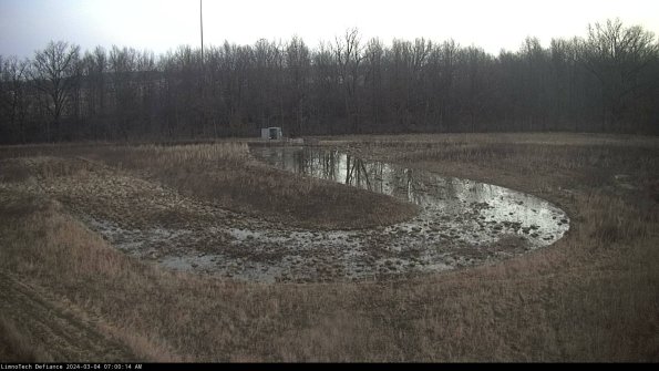 Cell 4_24-03-04_07-00-15-31