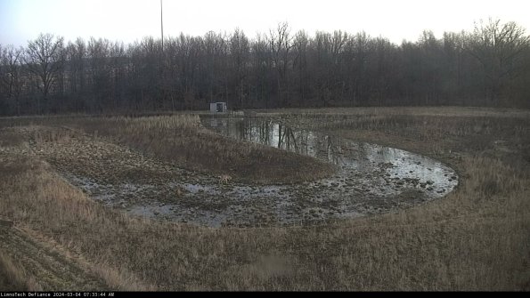 Cell 4_24-03-04_07-33-45-29