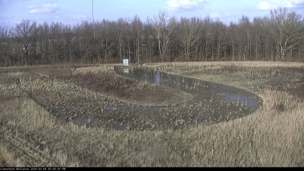 Cell 4_24-03-04_17-00-56-12