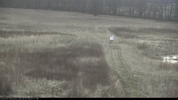 Cell 1 to 2_24-03-07_18-07-18-13