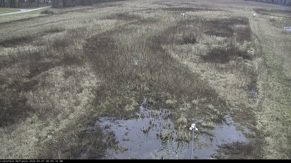 Cell 1_24-03-07_08-04-11-12