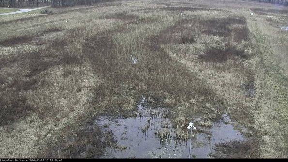 Cell 1_24-03-07_10-18-07-14