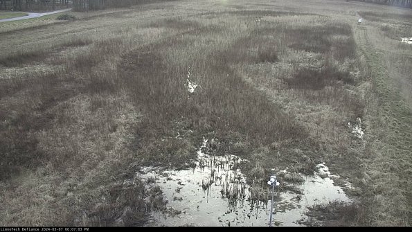 Cell 1_24-03-07_18-07-04-15