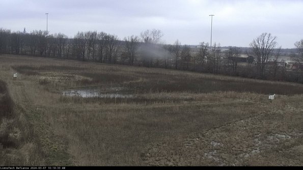 Cell 2_24-03-07_10-18-34-17