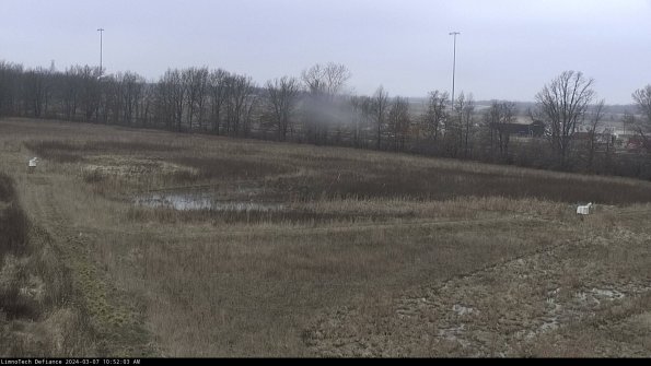 Cell 2_24-03-07_10-52-04-22