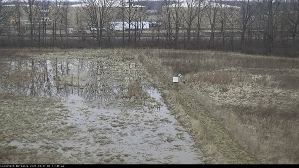 Cell 3 to 4_24-03-07_07-31-50-14