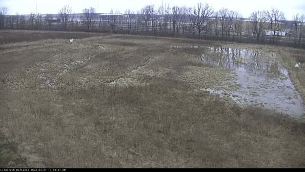 Cell 3_24-03-07_10-19-02-13