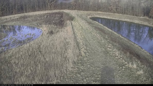 Cell 4 to Basin_24-03-07_17-35-28-14