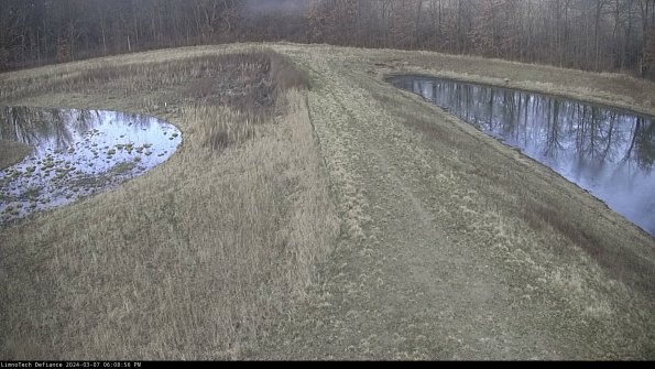 Cell 4 to Basin_24-03-07_18-08-57-16