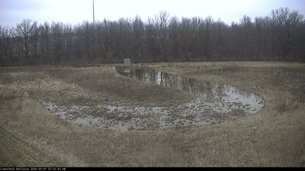 Cell 4_24-03-07_07-32-04-12