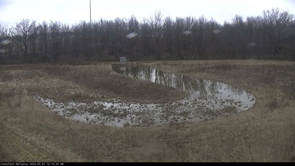 Cell 4_24-03-07_10-19-30-12