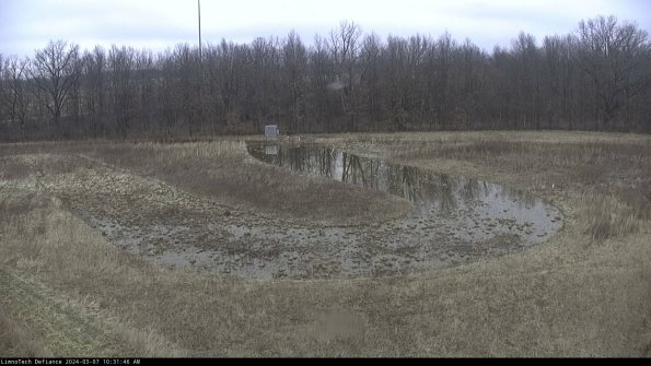 Cell 4_24-03-07_10-31-47-16