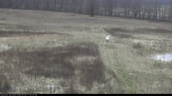 Cell 1 to 2_24-03-09_11-25-54-13