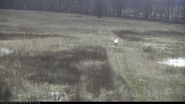 Cell 1 to 2_24-03-09_16-27-24-14