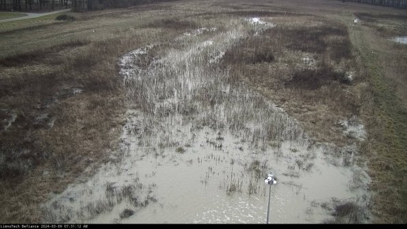 Cell 1_24-03-09_07-31-13-11